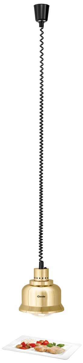 Lampa grzewcza IWL250D GO